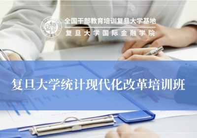 统计现代化改革培训专题