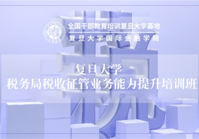 税务局税收征管业务能力提升培训专题