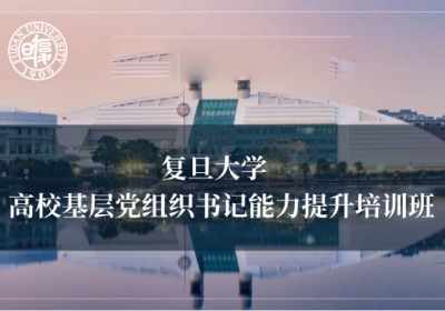 高校基层党组织书记能力提升培训专题