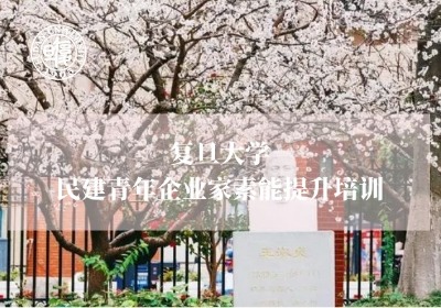 民建青年企业家素能提升培训专题