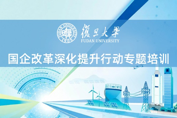 国企改革深化提升行动专题培训