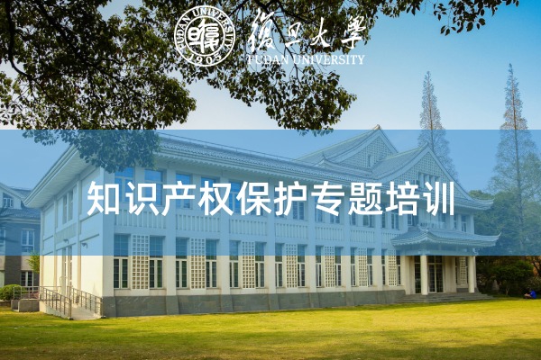 国企知识产权保护与风险防控培训