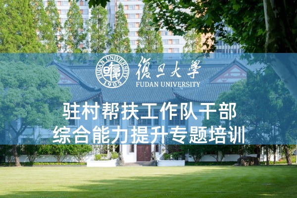 驻村帮扶工作队干部综合能力提升专题培训
