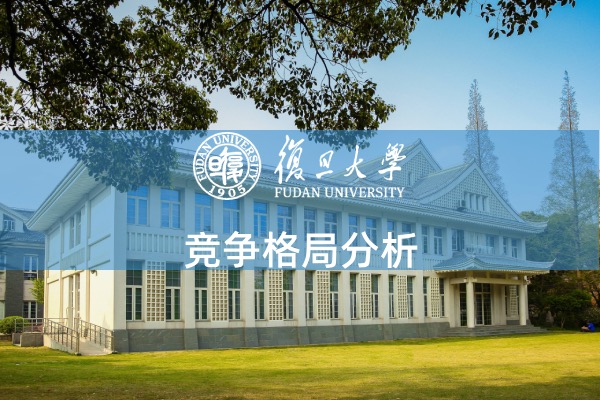 竞争格局分析