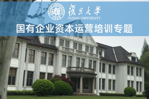国有企业资本运营培训专题