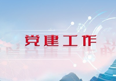 党建工作能力提升专题