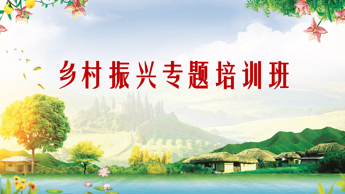 全面实施乡村振兴战略专题培训